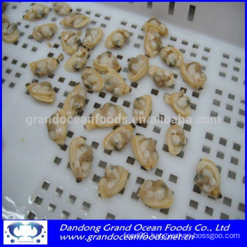 FROZEN BOILED BABY CLAM MEAT